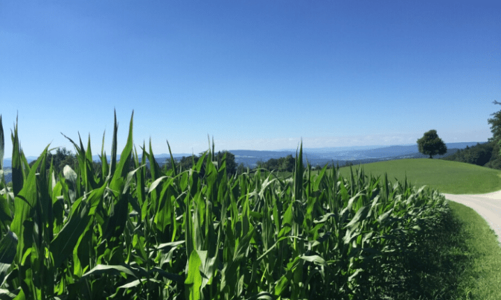 JAK JSME SI OBHÁJILI “NAŠE” ŠVÝCARSKO