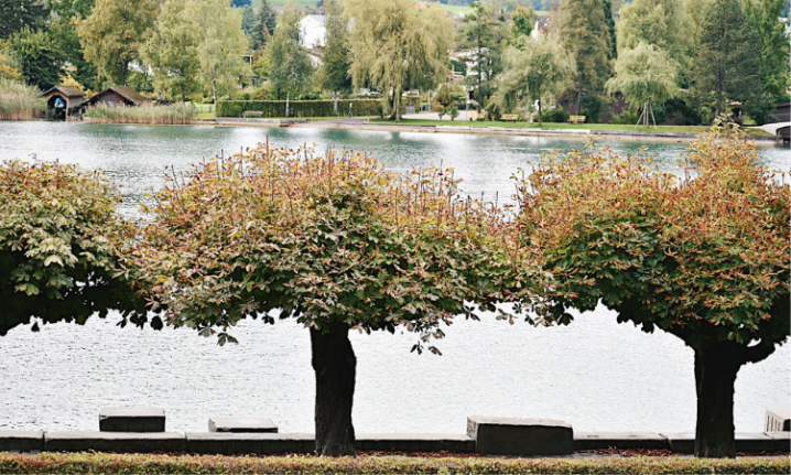V ČEM MĚ ŠOKOVALO&nbsp;ŠVÝCARSKO