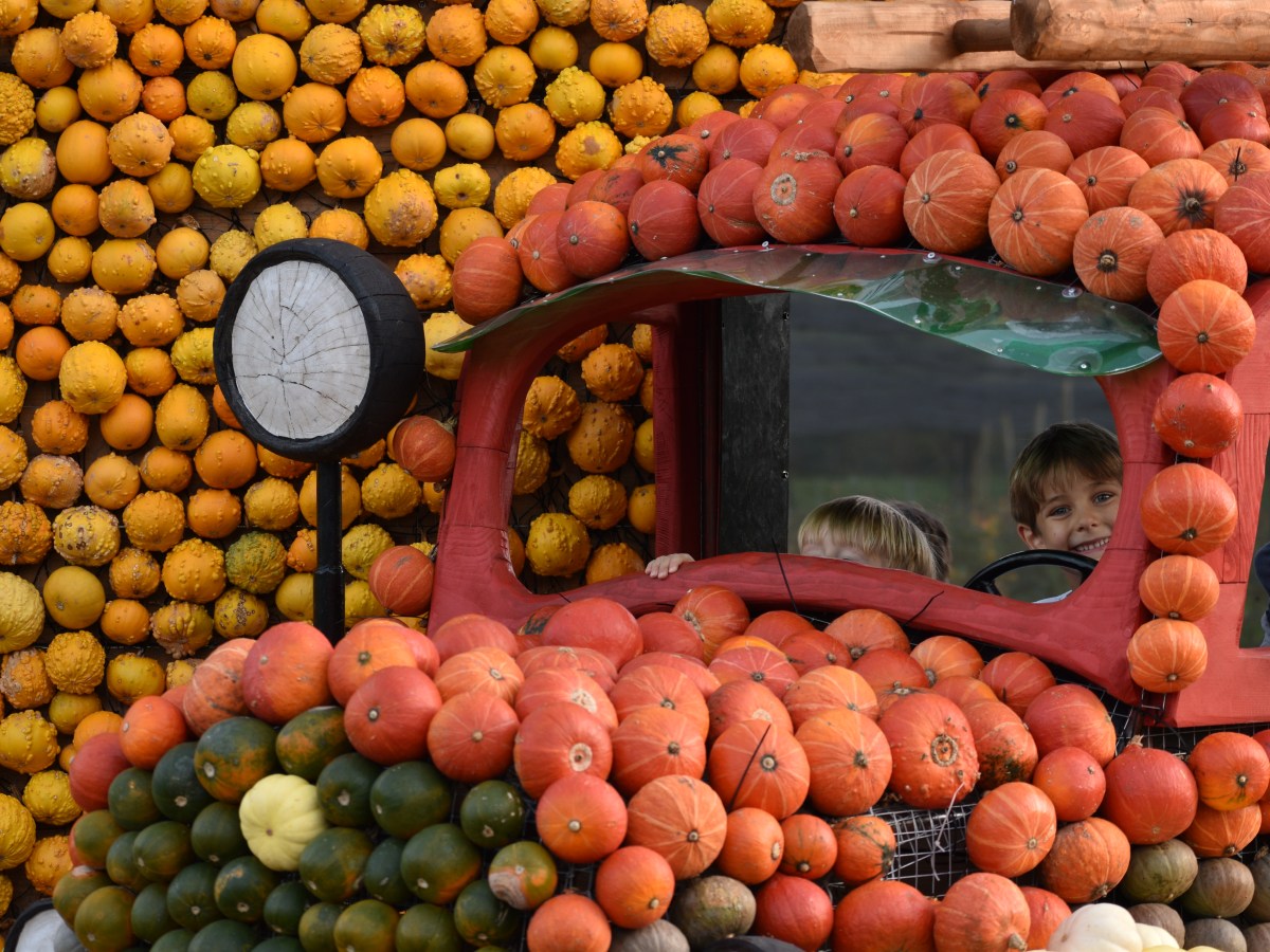 JAK MĚ STRAŠÍ&nbsp;HALLOWEEN